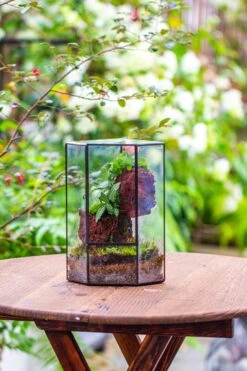 Small Version Handmade Glass Terrarium With Door For Plant, Moss Wall, Closed Geometric Tin Pentagon Planter -Ncyp Garden Sale Shop IMG 7126