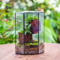 Small Version Handmade Glass Terrarium With Door For Plant, Moss Wall, Closed Geometric Tin Pentagon Planter -Ncyp Garden Sale Shop IMG 7127 2