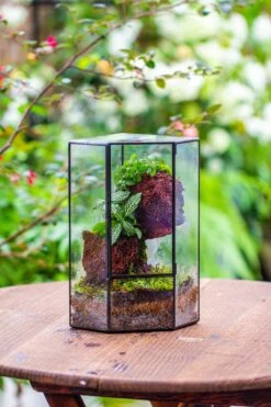 Small Version Handmade Glass Terrarium With Door For Plant, Moss Wall, Closed Geometric Tin Pentagon Planter -Ncyp Garden Sale Shop IMG 7127