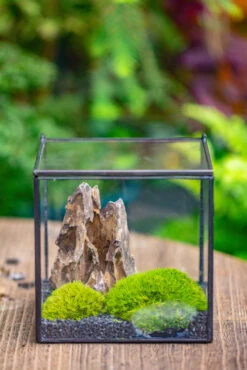 2-6" / 5-15cm Cutted Flat Bottom Natural Ohko Dragon Stone Rock For Terrarium, Aquarium Bonsai Landscape, 2kg/4.4lb, With DIY Tools -Ncyp Garden Sale Shop IMG 7128