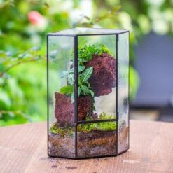 Small Version Handmade Glass Terrarium With Door For Plant, Moss Wall, Closed Geometric Tin Pentagon Planter -Ncyp Garden Sale Shop IMG 7129 2