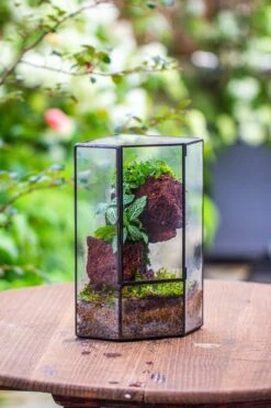Small Version Handmade Glass Terrarium With Door For Plant, Moss Wall, Closed Geometric Tin Pentagon Planter -Ncyp Garden Sale Shop IMG 7129