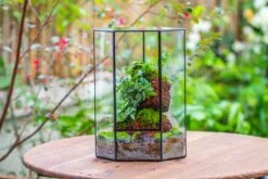 Handmade Close Geometric Tin Glass Corner Terrarium With Door, For Corner, Shelf -Ncyp Garden Sale Shop IMG 7130