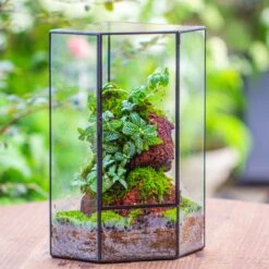Handmade Close Geometric Tin Glass Corner Terrarium With Door, For Corner, Shelf -Ncyp Garden Sale Shop IMG 7131 2