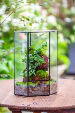 Handmade Close Geometric Tin Glass Corner Terrarium With Door, For Corner, Shelf -Ncyp Garden Sale Shop IMG 7131