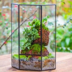 Handmade Close Geometric Tin Glass Corner Terrarium With Door, For Corner, Shelf -Ncyp Garden Sale Shop IMG 7132 2