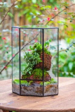 Handmade Close Geometric Tin Glass Corner Terrarium With Door, For Corner, Shelf -Ncyp Garden Sale Shop IMG 7132