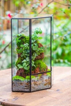 Handmade Close Geometric Tin Glass Corner Terrarium With Door, For Corner, Shelf -Ncyp Garden Sale Shop IMG 7133