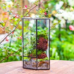 Handmade Close Geometric Tin Glass Corner Terrarium With Door, For Corner, Shelf -Ncyp Garden Sale Shop IMG 7134 2