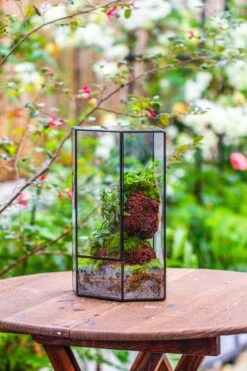 Handmade Close Geometric Tin Glass Corner Terrarium With Door, For Corner, Shelf -Ncyp Garden Sale Shop IMG 7134