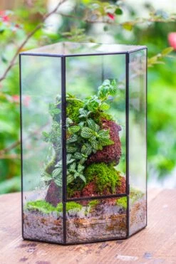 Handmade Close Geometric Tin Glass Corner Terrarium With Door, For Corner, Shelf -Ncyp Garden Sale Shop IMG 7135