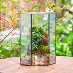 Handmade Close Geometric Tin Glass Corner Terrarium With Door, For Corner, Shelf -Ncyp Garden Sale Shop IMG 7137 2