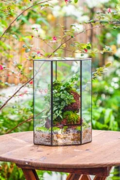 Handmade Close Geometric Tin Glass Corner Terrarium With Door, For Corner, Shelf -Ncyp Garden Sale Shop IMG 7137
