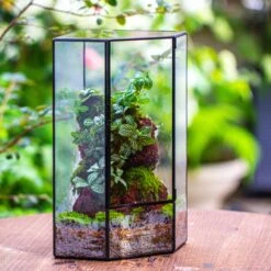 Handmade Close Geometric Tin Glass Corner Terrarium With Door, For Corner, Shelf -Ncyp Garden Sale Shop IMG 7138 2