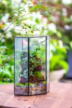 Handmade Close Geometric Tin Glass Corner Terrarium With Door, For Corner, Shelf -Ncyp Garden Sale Shop IMG 7138