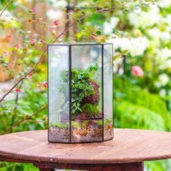 Handmade Close Geometric Tin Glass Corner Terrarium With Door, For Corner, Shelf -Ncyp Garden Sale Shop IMG 7139 2