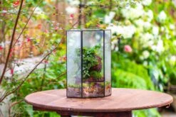 Handmade Close Geometric Tin Glass Corner Terrarium With Door, For Corner, Shelf -Ncyp Garden Sale Shop IMG 7139