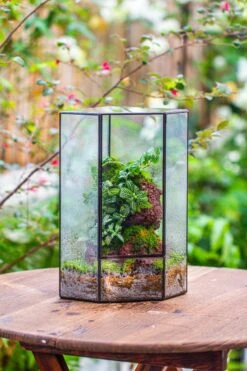 Handmade Close Geometric Tin Glass Corner Terrarium With Door, For Corner, Shelf -Ncyp Garden Sale Shop IMG 7140