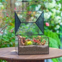Handmade Medium House Shape Terrarium Enclosure With Mesh Vent For Insects, Terrarium Only -Ncyp Garden Sale Shop IMG 7181 2