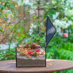 Handmade Medium House Shape Terrarium Enclosure With Mesh Vent For Insects, Terrarium Only -Ncyp Garden Sale Shop IMG 7184 2