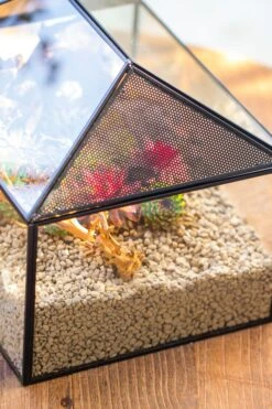 Handmade Medium House Shape Terrarium Enclosure With Mesh Vent For Insects, Terrarium Only -Ncyp Garden Sale Shop IMG 7186