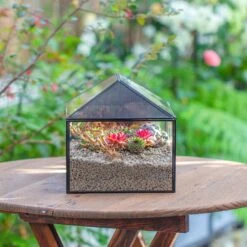 Handmade Medium House Shape Terrarium Enclosure With Mesh Vent For Insects, Terrarium Only -Ncyp Garden Sale Shop IMG 7187 2
