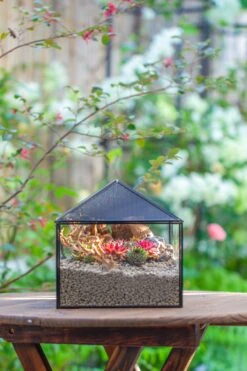 Handmade Medium House Shape Terrarium Enclosure With Mesh Vent For Insects, Terrarium Only -Ncyp Garden Sale Shop IMG 7188