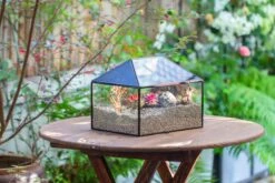 Handmade Medium House Shape Terrarium Enclosure With Mesh Vent For Insects, Terrarium Only -Ncyp Garden Sale Shop IMG 7191 c3ae107c 48fb 43b3 8e19 81ef167b2409