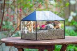 Handmade Medium House Shape Terrarium Enclosure With Mesh Vent For Insects, Terrarium Only -Ncyp Garden Sale Shop IMG 7192 29b71cb1 e5d3 420e b21e e691c8f4ddda