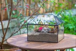 Handmade Medium House Shape Terrarium Enclosure With Mesh Vent For Insects, Terrarium Only -Ncyp Garden Sale Shop IMG 7194 737dd074 2e5a 4c05 bb82 409f58753d10