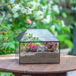 Handmade Medium House Shape Terrarium Enclosure With Mesh Vent For Insects, Terrarium Only -Ncyp Garden Sale Shop IMG 7195 8469e00a ef17 43b2 a3c3 b14dbf8a00f5