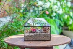 Handmade Medium House Shape Terrarium Enclosure With Mesh Vent For Insects, Terrarium Only -Ncyp Garden Sale Shop IMG 7196