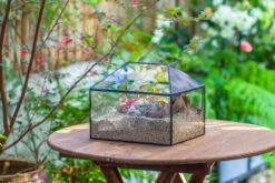 Handmade Medium House Shape Terrarium Enclosure With Mesh Vent For Insects, Terrarium Only -Ncyp Garden Sale Shop IMG 7200 e09b0914 bb63 400b 92d7 afc29900653e