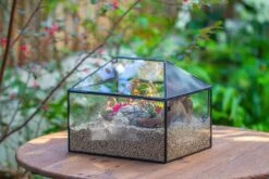 Handmade Medium House Shape Terrarium Enclosure With Mesh Vent For Insects, Terrarium Only -Ncyp Garden Sale Shop IMG 7201 c114637f f047 44de 8719 4720c8f96af7