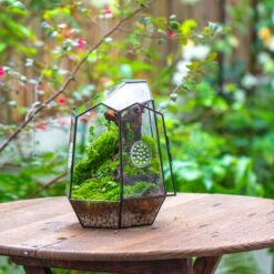NCYP Close Geometric Tin Glass Terrarium With Door, Vent, Insect Bug Terrarium -Ncyp Garden Sale Shop IMG 7272 2