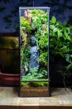 NCYP Close 11.8" Tall Geometric Glass Terrarium With Door Building DIY Set, With Buddha, Dragon Rocks, Planting Materials 34 NCYP Close 11.8" Tall Geometric Glass Terrarium With Door Building DIY Set, With Buddha, Dragon Rocks, Planting Materials -Ncyp Garden Sale Shop IMG 7276