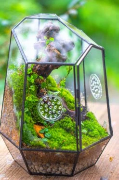 NCYP Close Geometric Tin Glass Terrarium With Door, Vent, Insect Bug Terrarium -Ncyp Garden Sale Shop IMG 7276 dad43351 95a9 4bd5 a872 14802d327efc