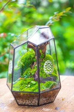 NCYP Close Geometric Tin Glass Terrarium With Door, Vent, Insect Bug Terrarium -Ncyp Garden Sale Shop IMG 7282