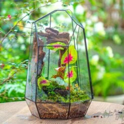 16.1" Large Irregular Geometric Glass Terrarium, Close, Tin Soldered, For Moss, Tropical Plants, Micro Landscape -Ncyp Garden Sale Shop IMG 7293 1 6d741214 40e4 462f b0b6 b0471e40551f