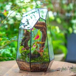 16.1" Large Irregular Geometric Glass Terrarium, Close, Tin Soldered, For Moss, Tropical Plants, Micro Landscape -Ncyp Garden Sale Shop IMG 7294 1 65246d55 b2e8 4764 8c64 1c99efe13441