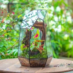 16.1" Large Irregular Geometric Glass Terrarium, Close, Tin Soldered, For Moss, Tropical Plants, Micro Landscape -Ncyp Garden Sale Shop IMG 7295 1 2e790b10 5d0e 4ac8 adc1 68409ed13f1e