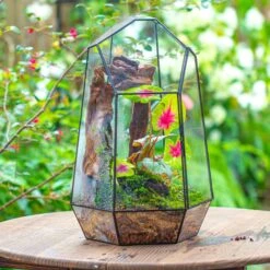 16.1" Large Irregular Geometric Glass Terrarium, Close, Tin Soldered, For Moss, Tropical Plants, Micro Landscape -Ncyp Garden Sale Shop IMG 7297 1 a48b6be2 8ed2 4905 abe1 065ccab57e39