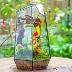16.1" Large Irregular Geometric Glass Terrarium, Close, Tin Soldered, For Moss, Tropical Plants, Micro Landscape -Ncyp Garden Sale Shop IMG 7301 1 abd7c810 511d 4efa 9930 e1243c30b616