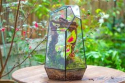 16.1" Large Irregular Geometric Glass Terrarium, Close, Tin Soldered, For Moss, Tropical Plants, Micro Landscape -Ncyp Garden Sale Shop IMG 7303 79205543 8dd1 466c 888d d4d7c3311942