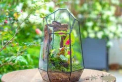 16.1" Large Irregular Geometric Glass Terrarium, Close, Tin Soldered, For Moss, Tropical Plants, Micro Landscape -Ncyp Garden Sale Shop IMG 7306 0c009818 cc6f 4797 9810 5eba2a913839