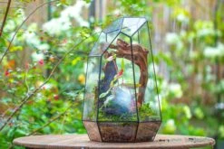 16.1" Large Irregular Geometric Glass Terrarium, Close, Tin Soldered, For Moss, Tropical Plants, Micro Landscape -Ncyp Garden Sale Shop IMG 7310 56ff10c9 ebae 4ace 91fa beff4707351f