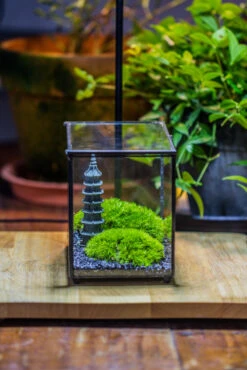 Preserved Moss Terrarium Miniature DIY Set, Japanese Zen Style, Preserved Leucobryum Moss And Pagoda, 17*10*12cm / 6.7 X 3.9 X 4.7" -Ncyp Garden Sale Shop IMG 7369