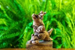 Driftwood For Moss Terrarium, Miniature, Micro Landscape, H022 -Ncyp Garden Sale Shop IMG 7421