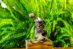 Driftwood For Moss Terrarium, Miniature, Micro Landscape, H019 -Ncyp Garden Sale Shop IMG 7427