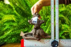 Driftwood For Moss Terrarium, Miniature, Micro Landscape, H019 -Ncyp Garden Sale Shop IMG 7428